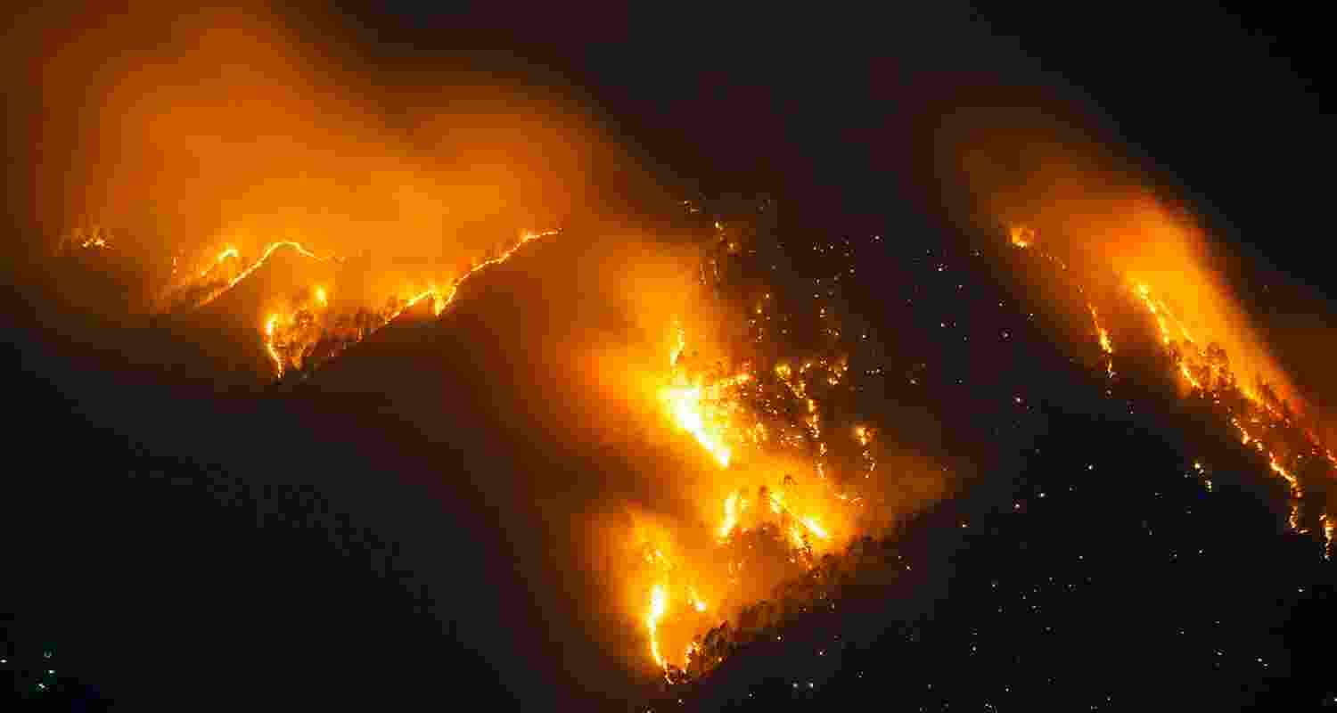 Flames billow out after a fire broke out in a forest near residential area, in Shimla, on Sunday night. 