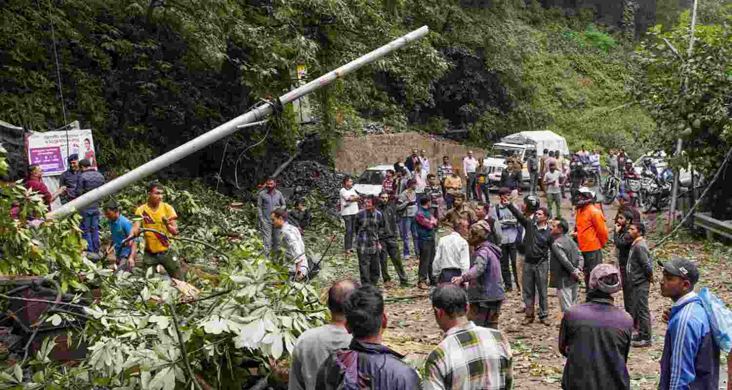 Vehicles stuck in a jam after a road blocked by a tree that uprooted due to heavy rainfall, in Shimla, Thursday. 