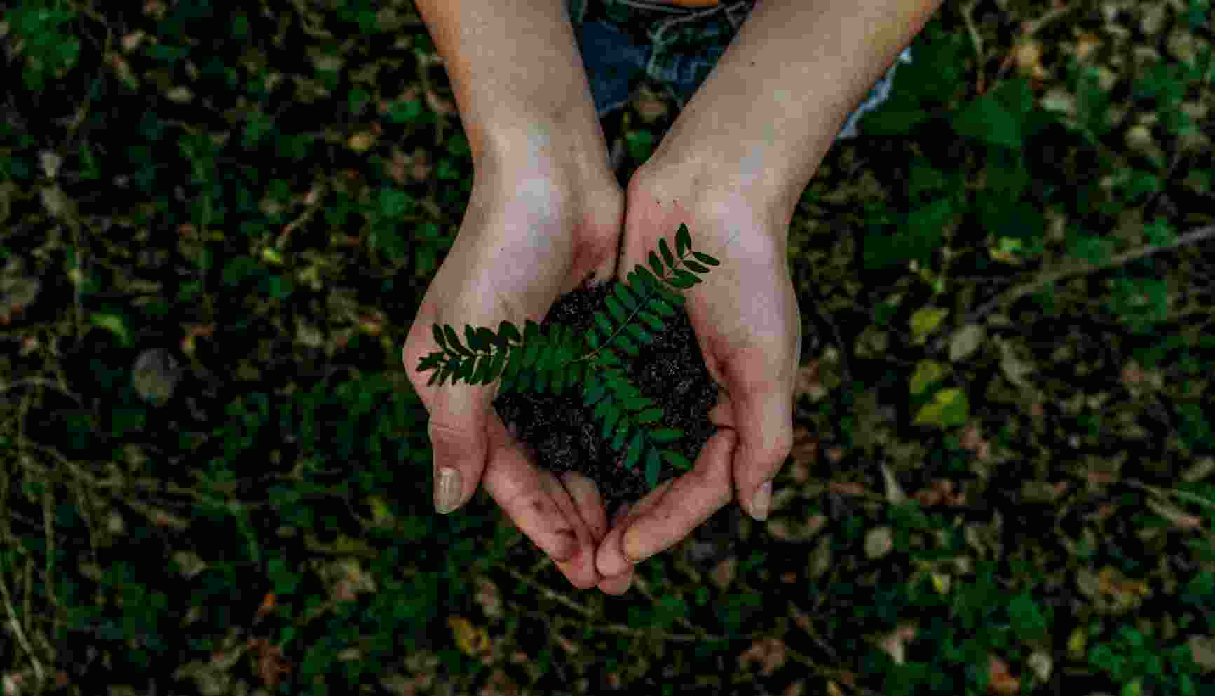 A simple way has been developed to use ‘ecoacoustics’ or sound to monitor life in soil, which could help improve soil health worldwide.