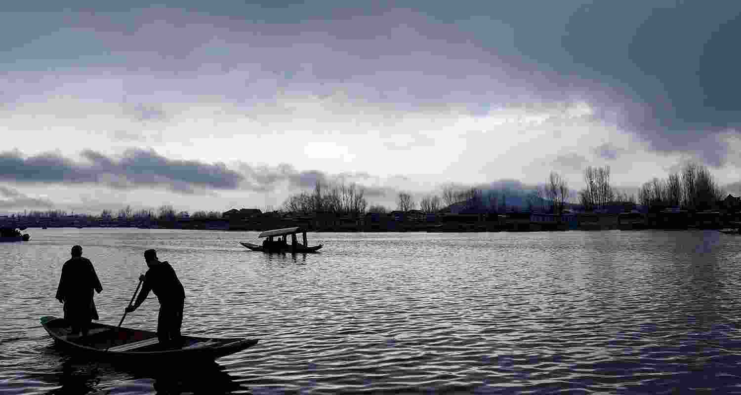 In Srinagar, boatmen skillfully navigate Dal Lake's waters amidst the rain. 