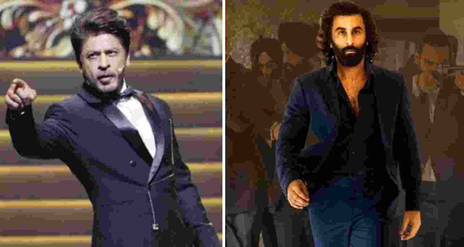 Shah Rukh best actor, 'Animal' best film at IIFA Awards