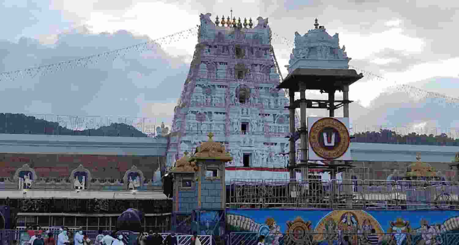 Devotees find insects in Tirupati prasad, TTD denies claim 