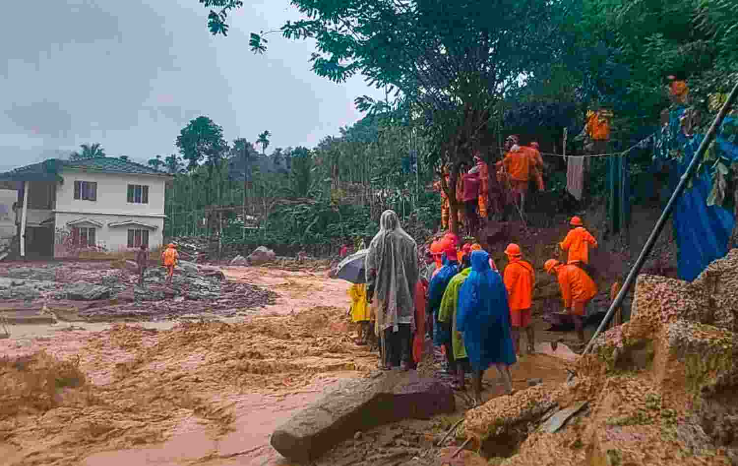 Wayanad landslides linked to climate change, deforestation