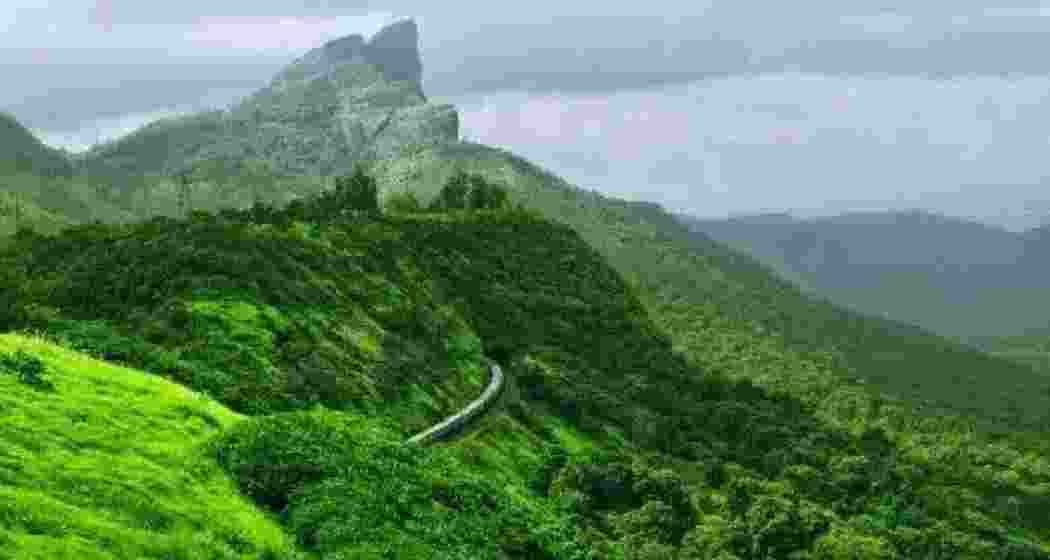 A breathtaking view of the serene and lush Western Ghats, rich in biodiversity and natural beauty.