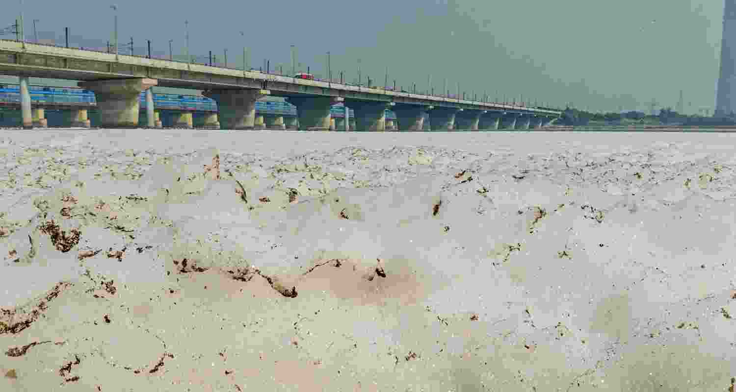 Thick froth blankets Delhi's Yamuna, experts raise health risks