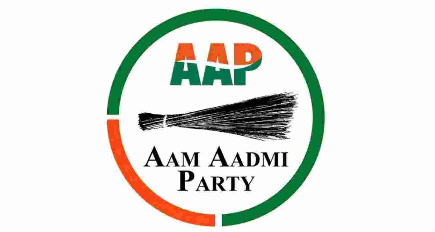 AAP logo. 