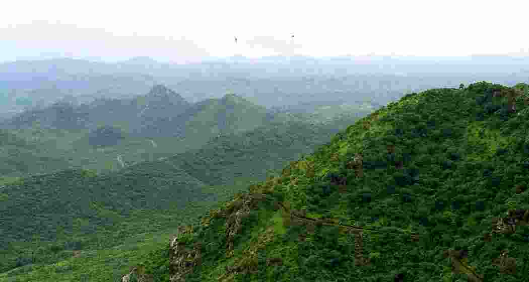 A section of the Aravalli hills. (PTI)