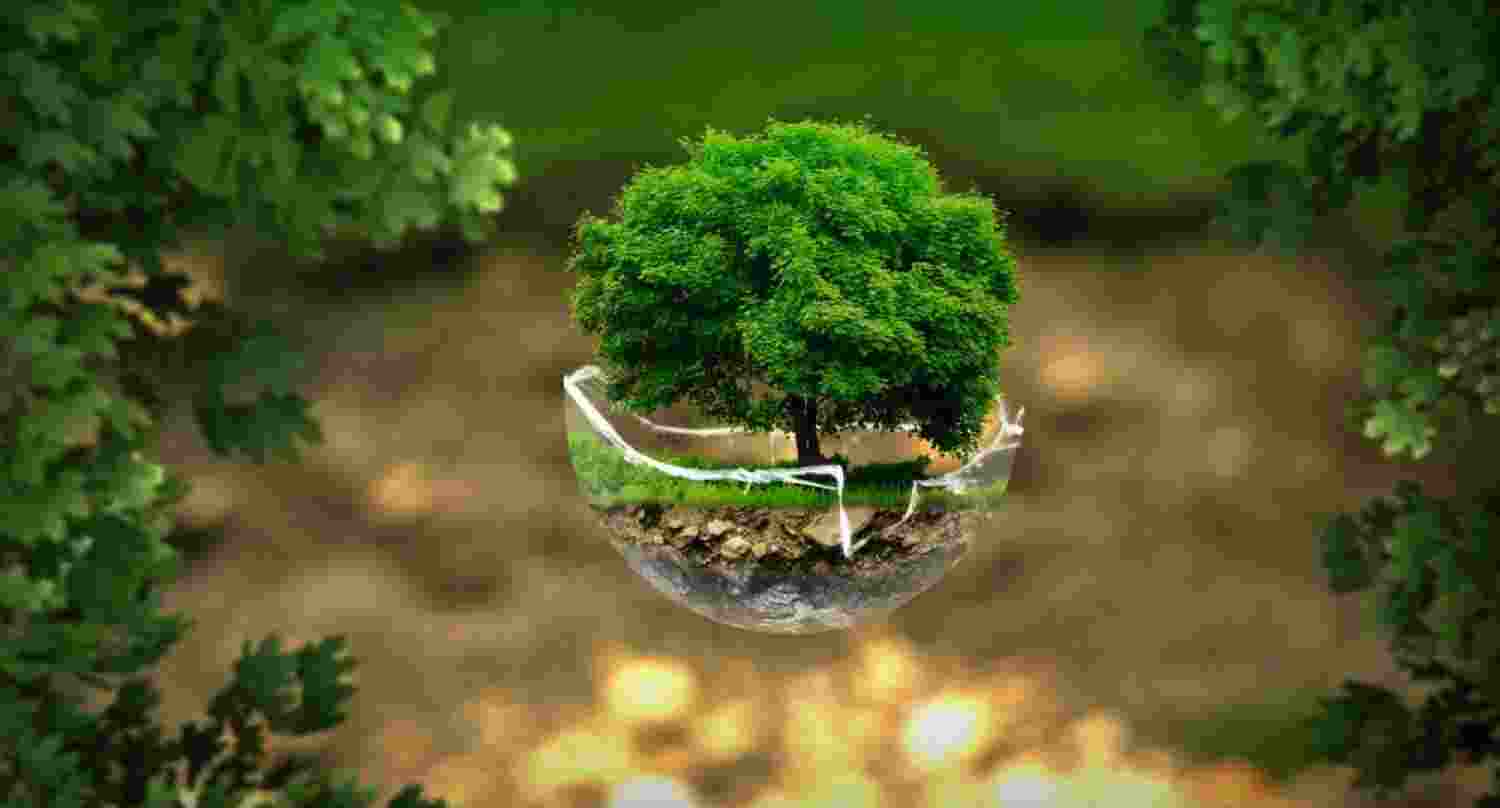 Can AI solve environmental issues without harm?