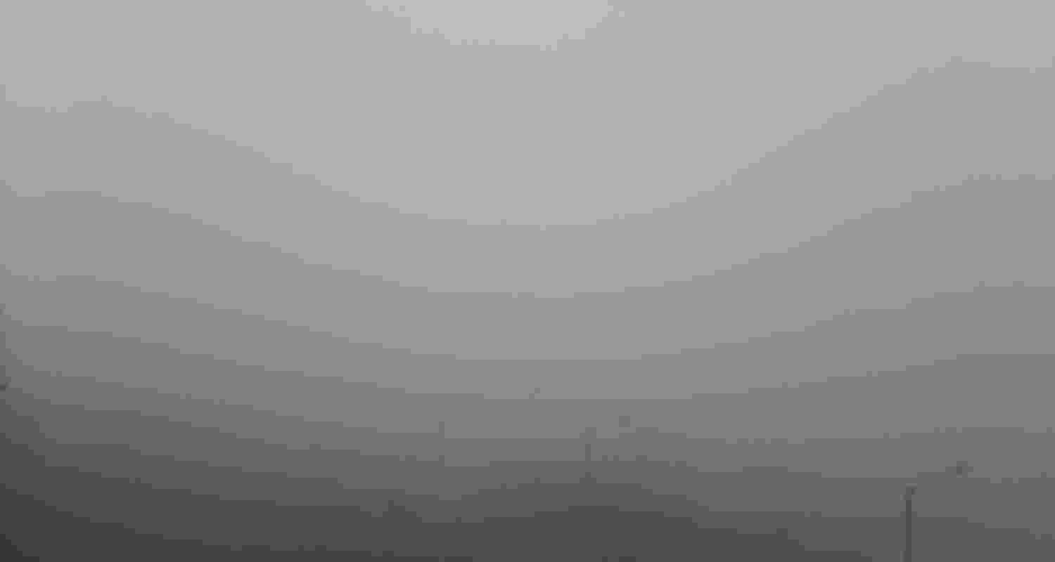 Dense fog reduced visibility across Punjab and Haryana.