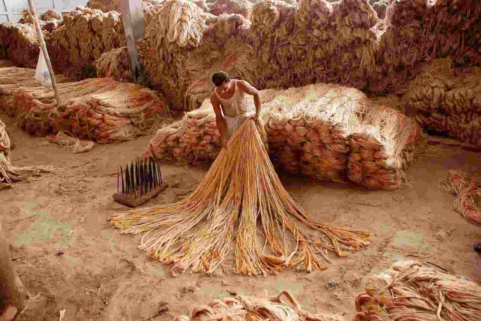 The Jute Balers' Association has written to Union Minister Giriraj Singh, raising alarm over the adverse impact of raw material imports from Bangladesh on India's jute industry and farmers. 