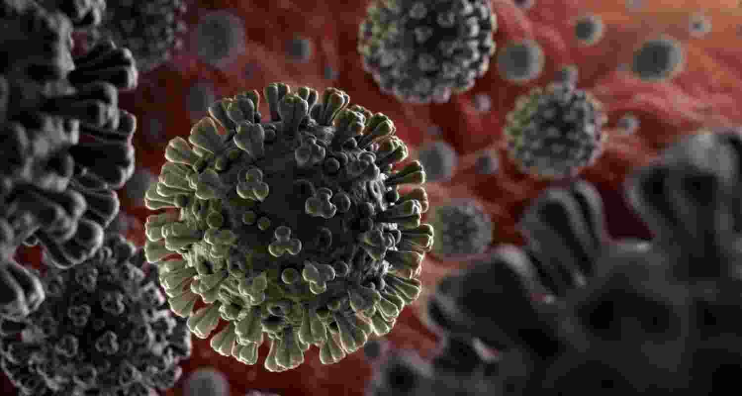 Scientists brace for 'Disease X' in future pandemics