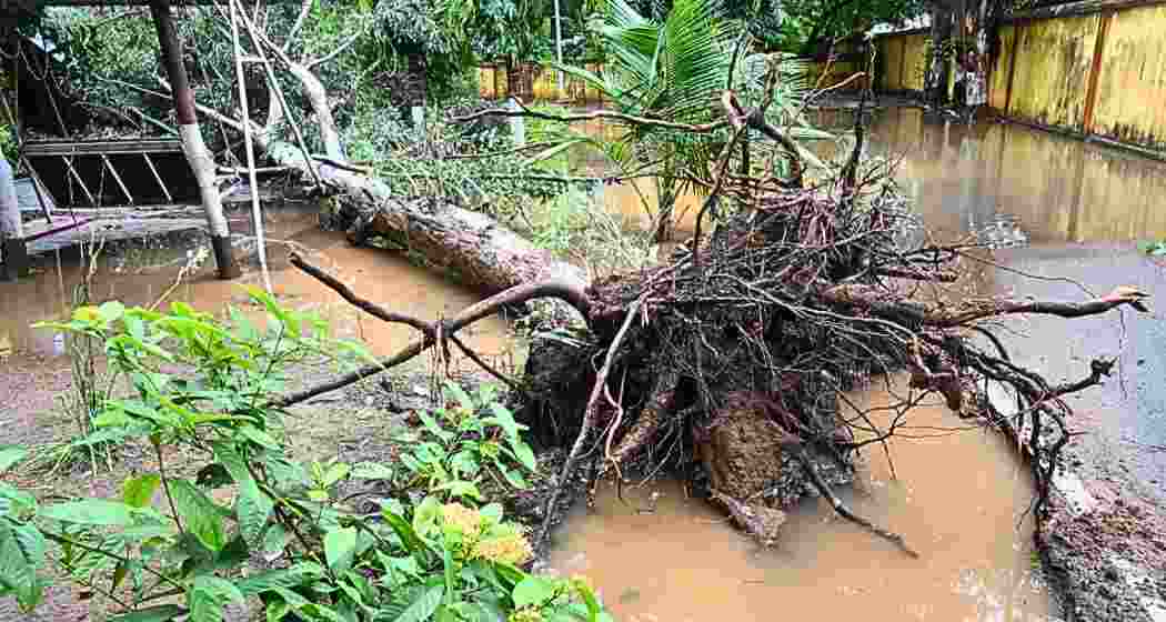 Aftermath of Cyclone Montha that battered North Bengal and Sikkim, prompting evacuations and widespread travel restrictions.
