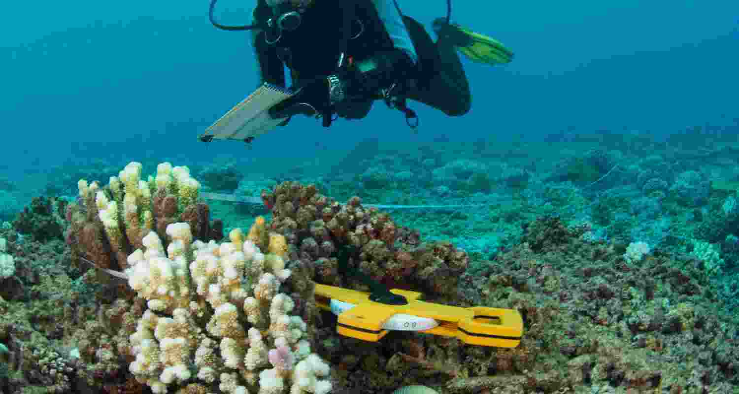 India to build first deep-sea marine microbial research facility