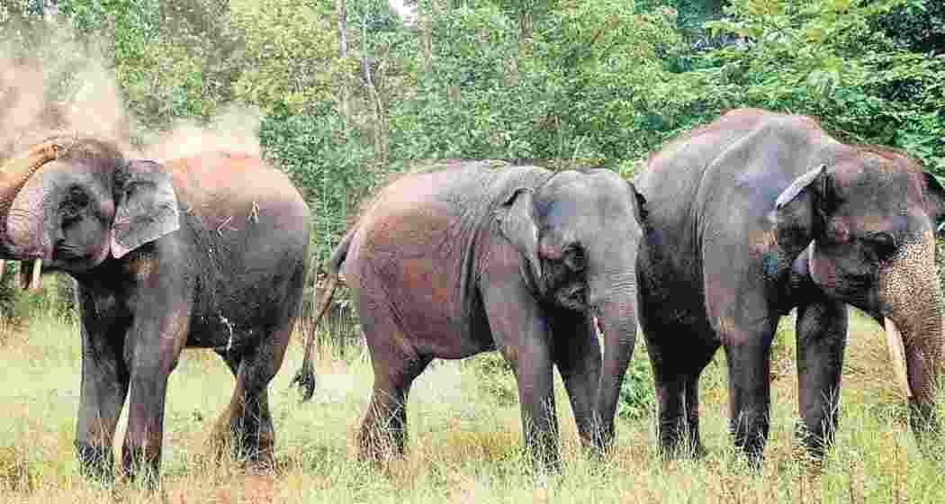 A representative image.