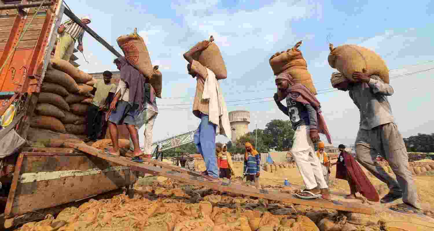 India produced around 150 million tonnes of rice in 2024-25 from nearly 47 million hectares, accounting for about 28 per cent of global output