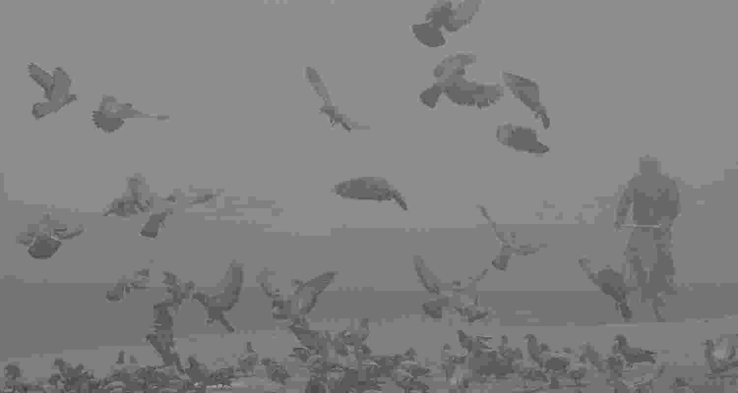 Favourable meteorological conditions, particularly surface wind speeds of 15 to 25 kilometers per hour, helped improve air quality in the capital, the CPCB said