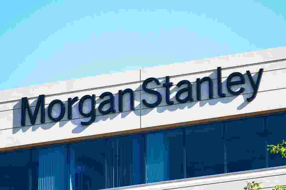 India's economy is experiencing a robust expansion driven primarily by investment, say economists at Morgan Stanley. 