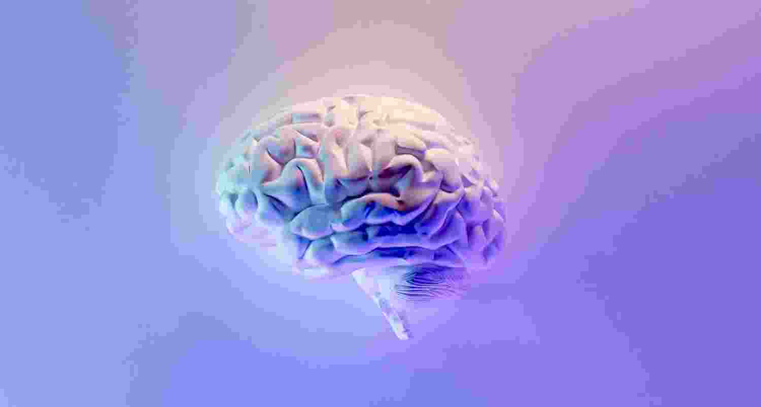 Human brain, AI models show similar language codes