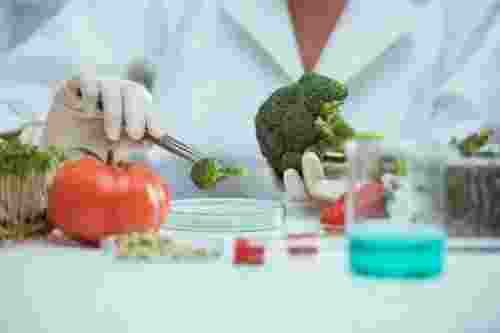 The Union Health Ministry categorically dismissed recent media reports suggesting that the Food Safety and Standards Authority of India (FSSAI) permits tenfold increases in pesticide residue levels in herbs and spices, labeling the claims as "false and malicious."