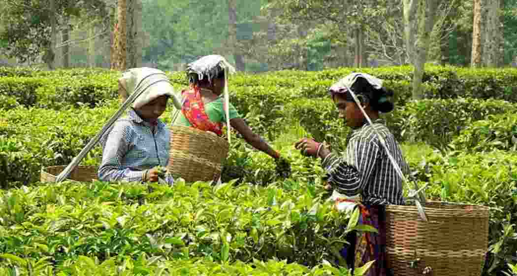 Representational image.