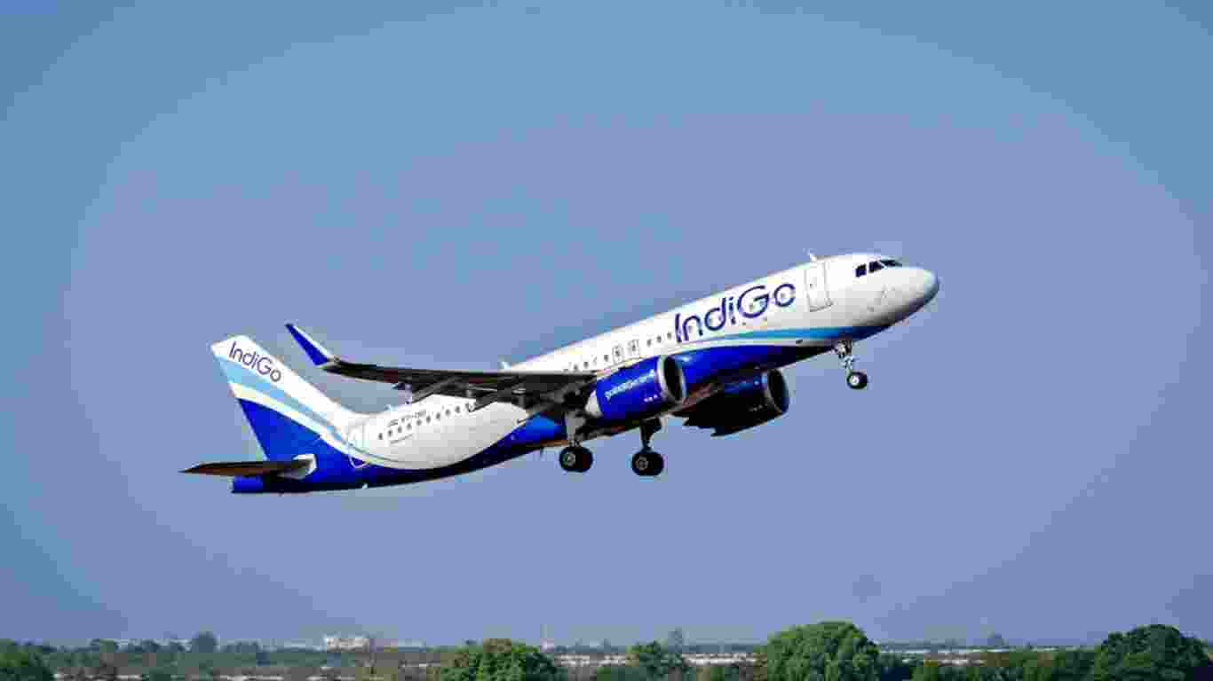PIL seeks fourfold compensation for Indigo cancellations, inquiry
