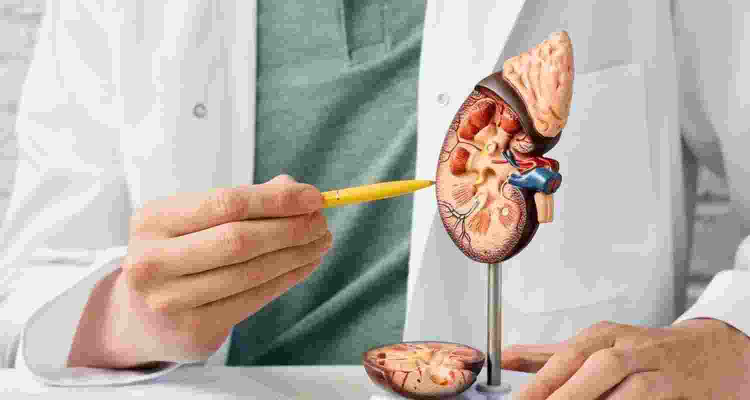 Early detection helps prevent severe kidney disease