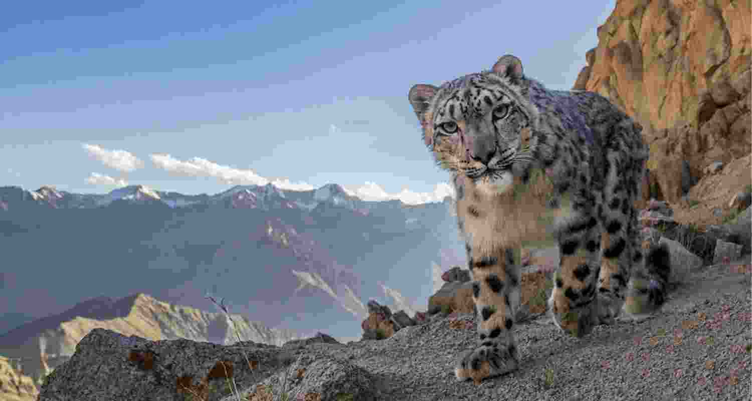 Representational image.