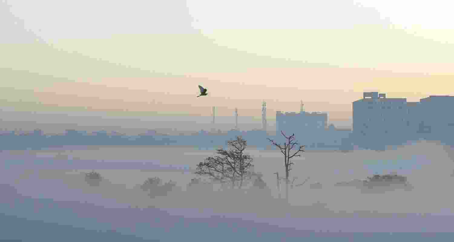 Additionally, air quality in the national capital region improved marginally to the ‘very poor’ category at 388 on Tuesday morning, marking a marginal improvement from Monday, when the city’s air quality stood at the ‘severe’ category with a reading of 401