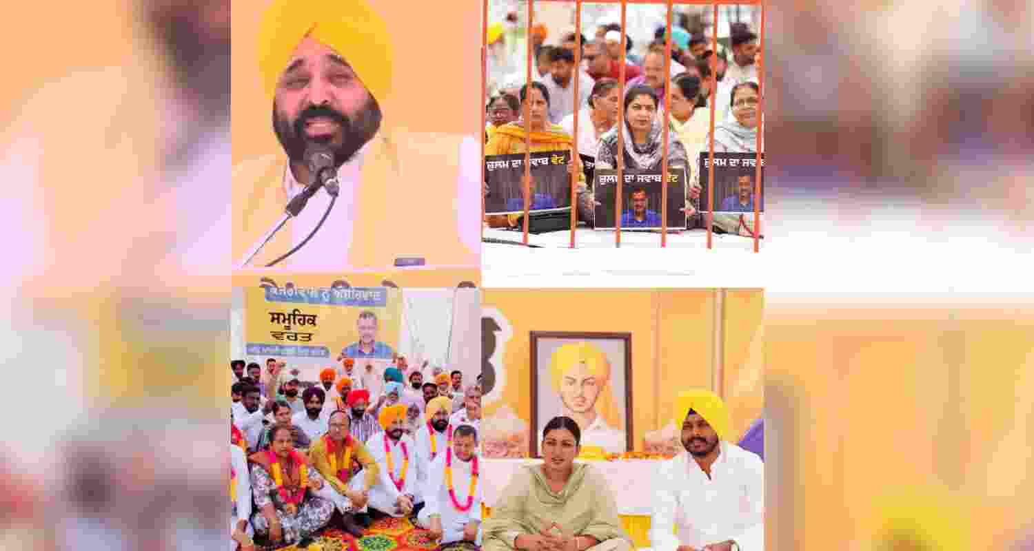 Punjab CM Mann. 