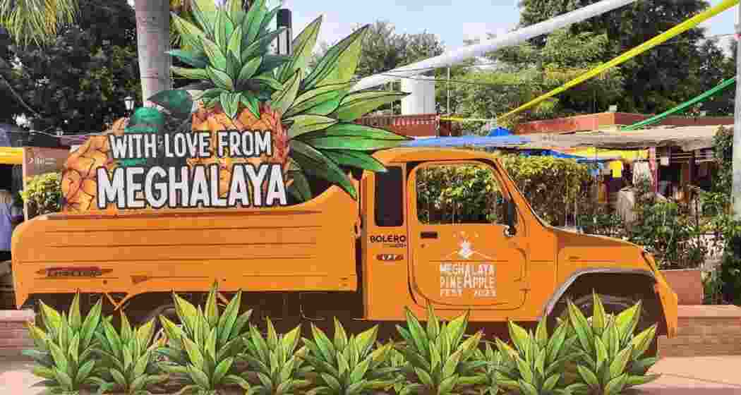Highlights from Meghalaya's Pineapple Festival 2024 at Dilli Haat.