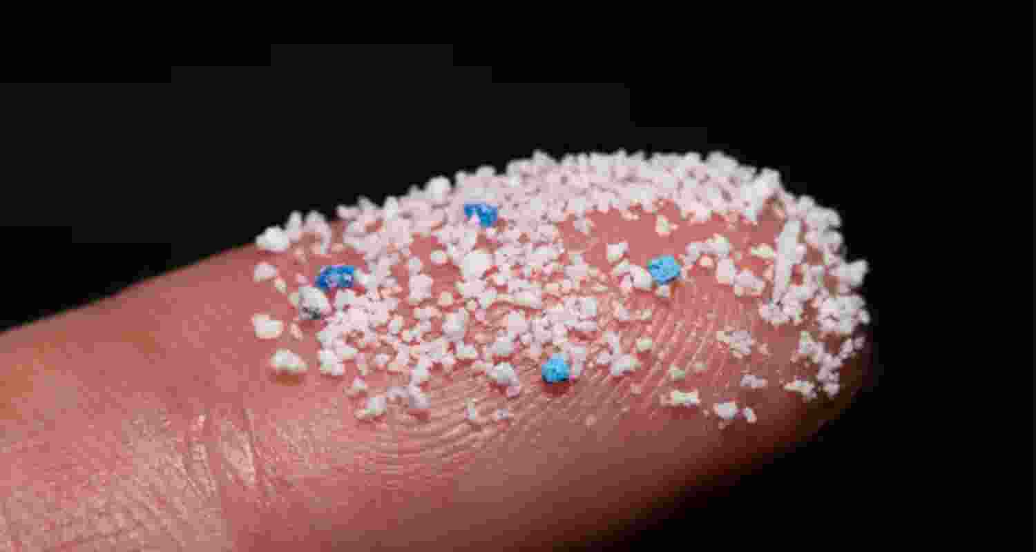 Microplastics may cause lung, colon cancer, study warns