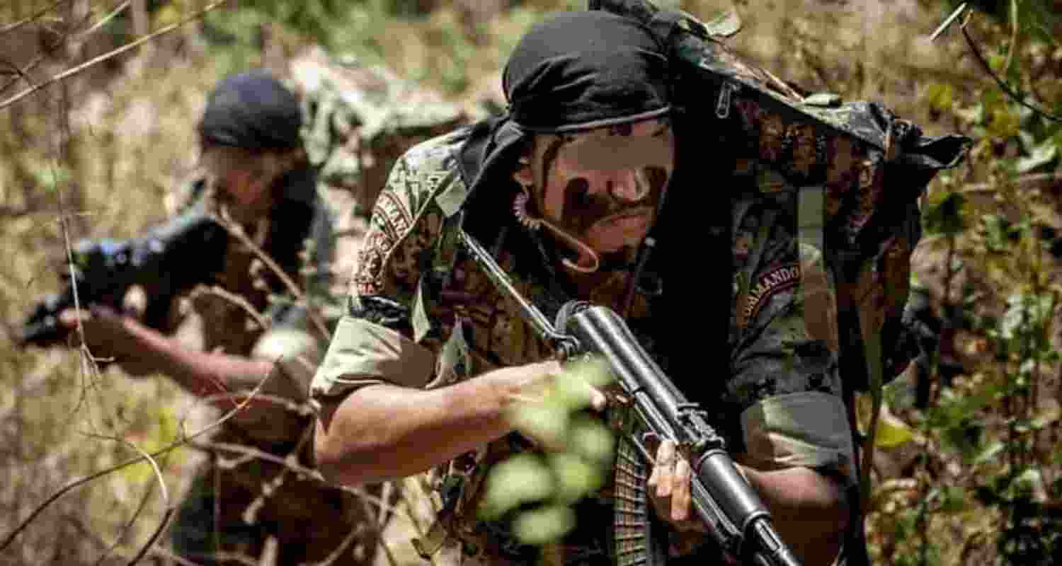 LWE violence has fallen 88 pc since 2010, with over 7,400 Naxals arrested and nearly 5,900 surrenders since 2019, the government informed Lok Sabha.