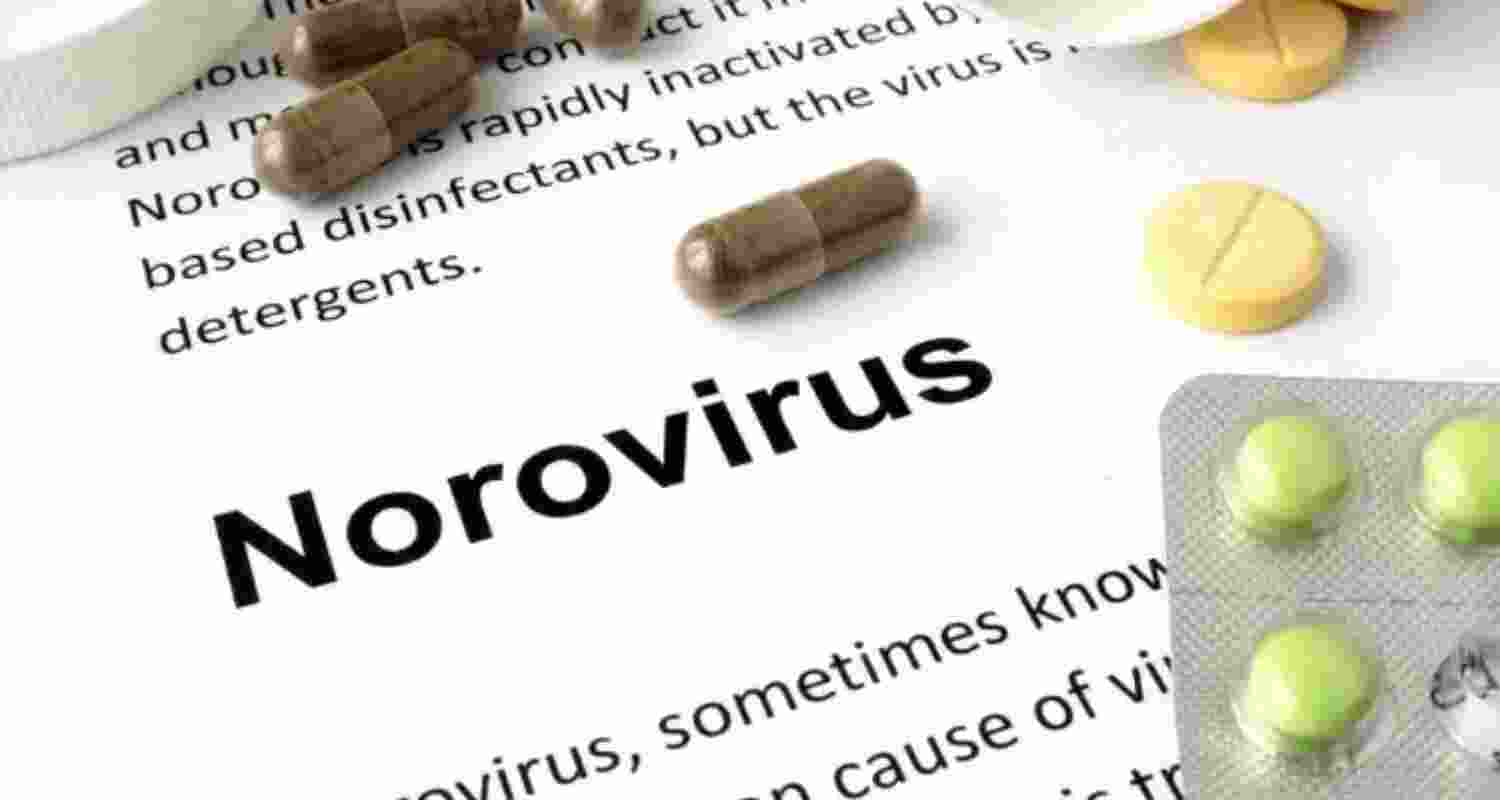 Hyderabad reels under the spell of Norovirus