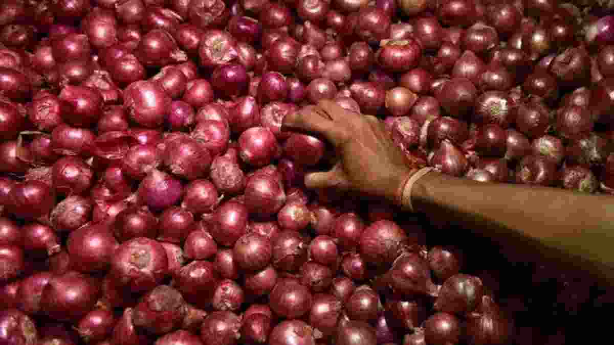 Onion export ban