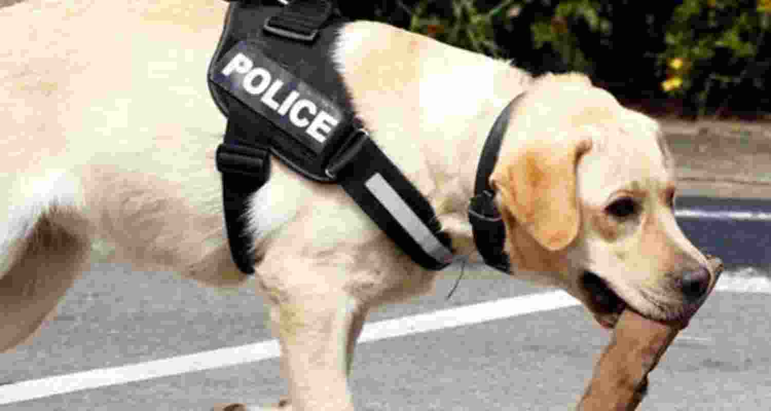 Representative Image. 