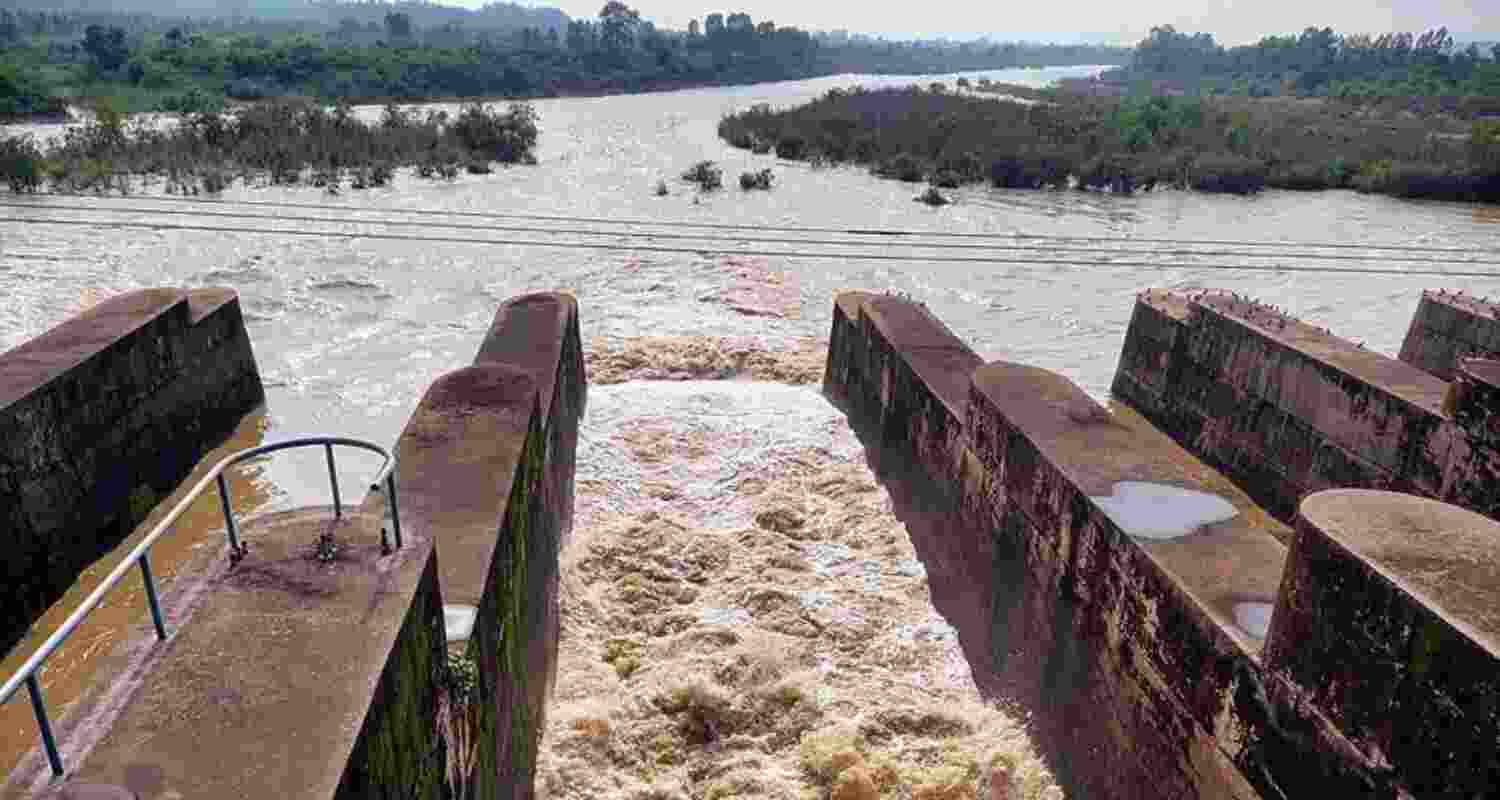 Pong Dam. 