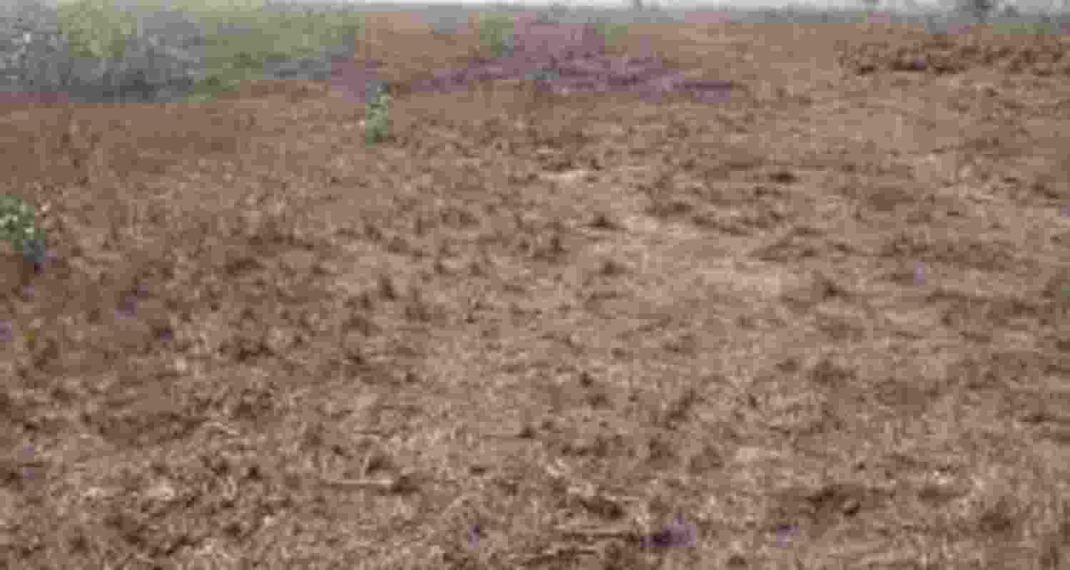 Representational Image. 