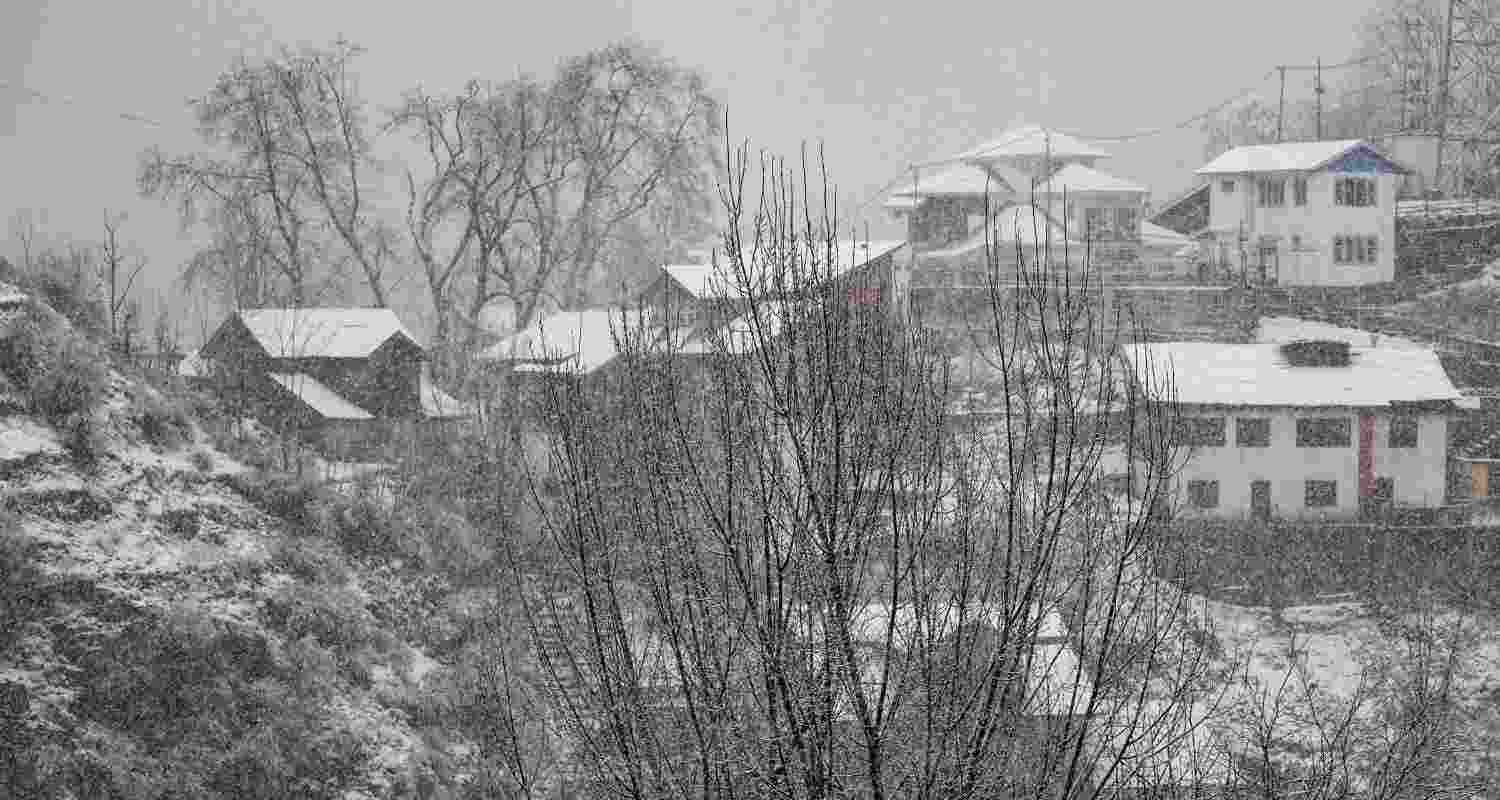 Representational Image.