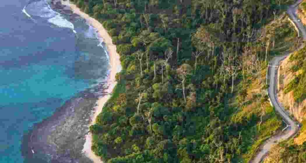 A stretch of road cutting through the coastal belt of Great Nicobar Island.
