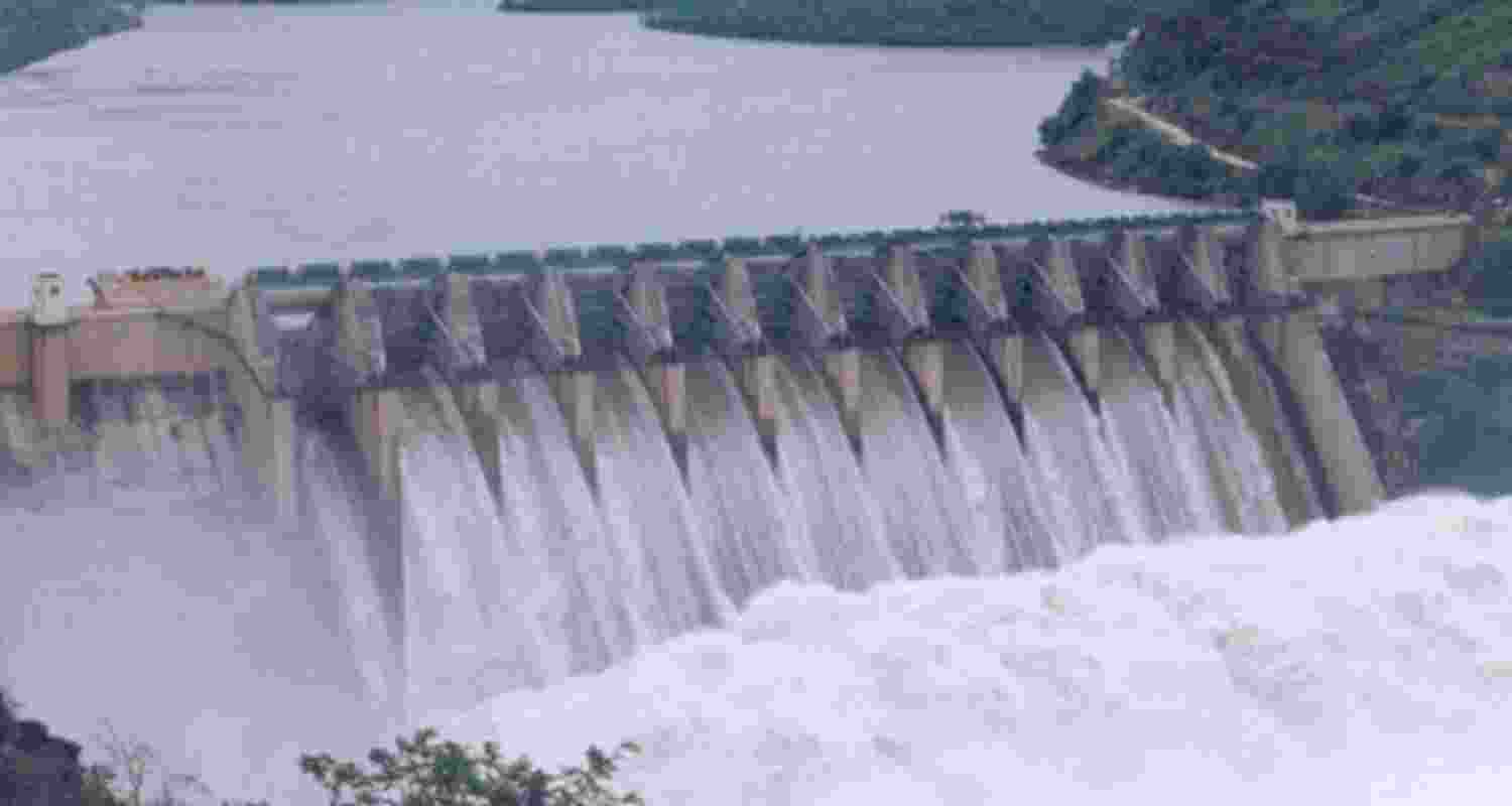  Inflows in Pong Dam remain high at 98,418 cusecs.