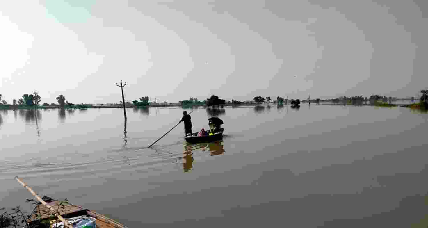 Submerged fields in border villages of Ferozepur district.