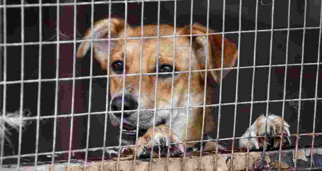 Representative image.