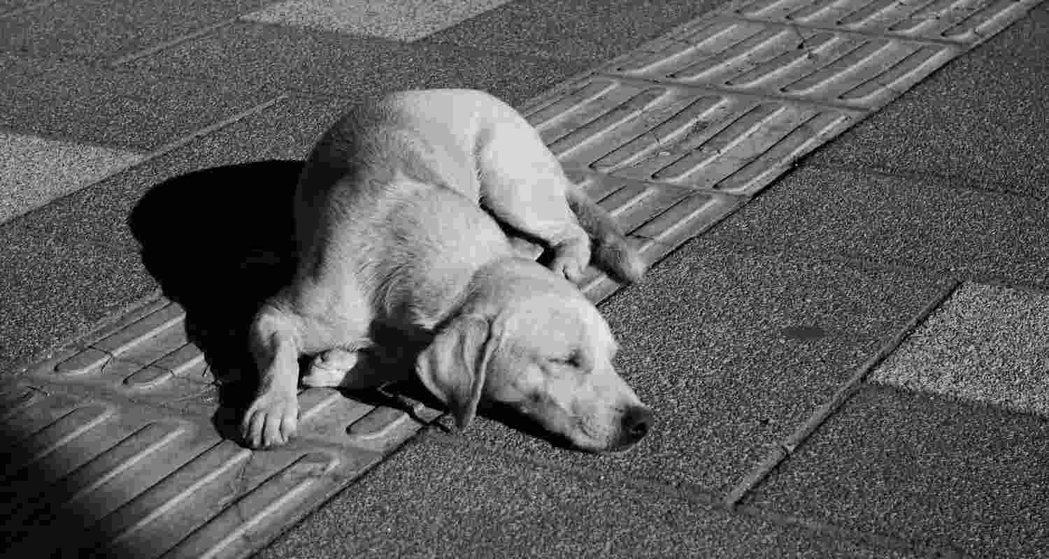 Representative Image. 