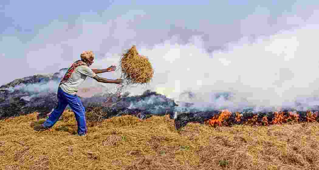 A farmer setting fire to crop stubble in a field.