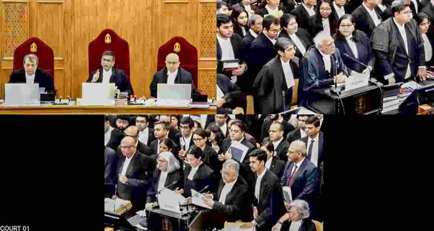 A representative image.