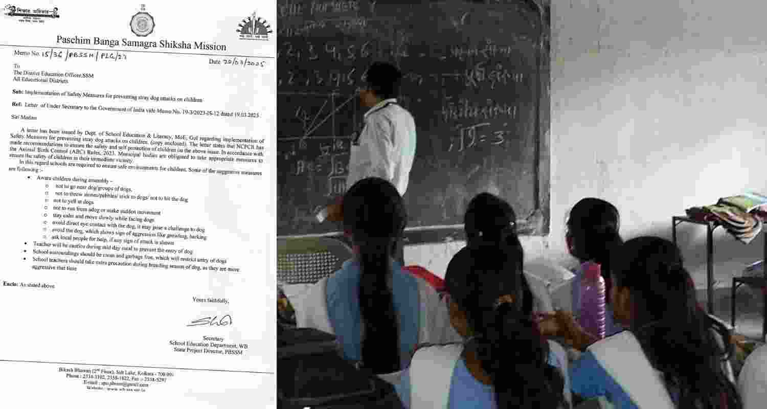 WB govt: Teach students about street dog risks