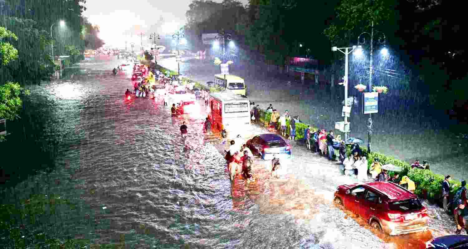 Rajasthan braces for more rain in coming four days.