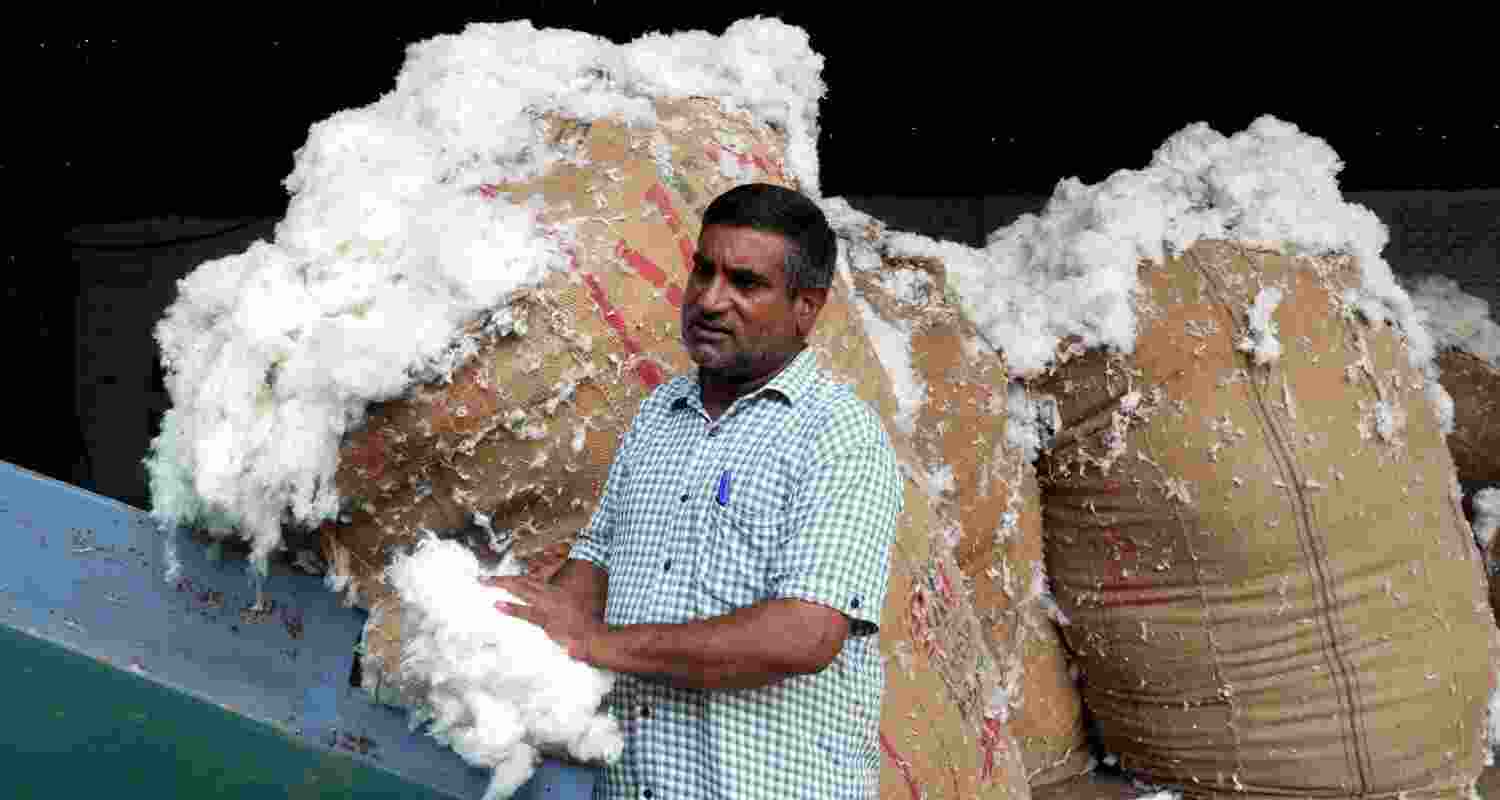 Cotton import duty waiver now valid till December 31.