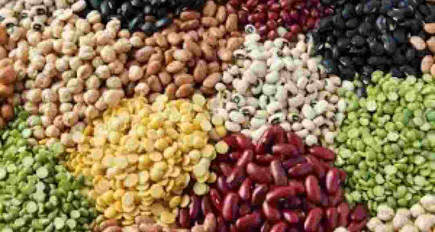 A government presentation showed India's production of pulses, oilseeds has increased in the past decade