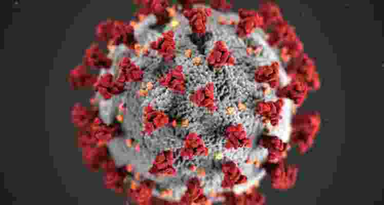 COVID19, disease, india, corona, omicron, JN,1 variant, daily, new cases, health